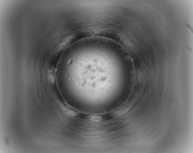 X0000095880719200801111133