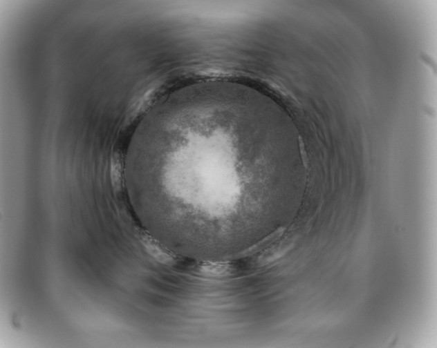 X0000095880720200801111133