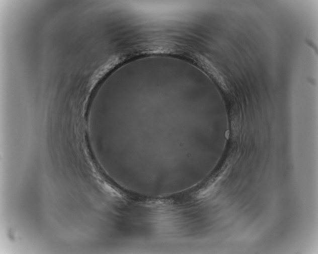 X0000095880721200801111133