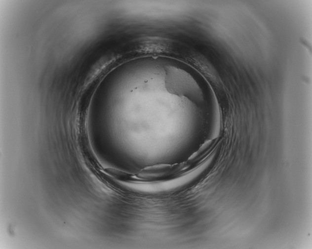 X0000095880722200801111133