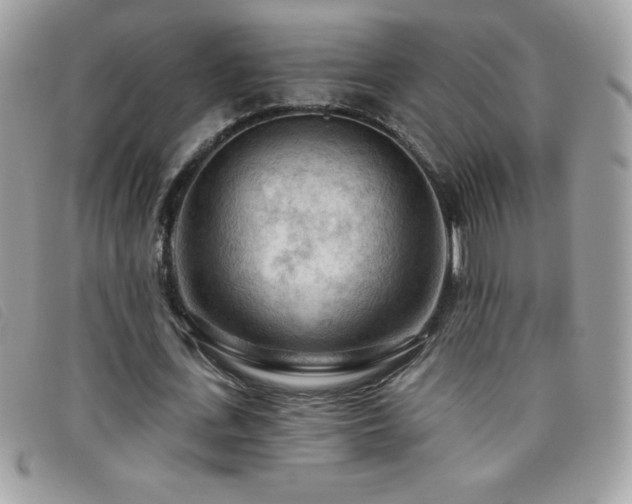 X0000095880723200801111133