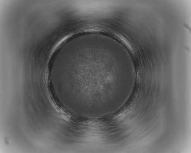 X0000095880724200801111133