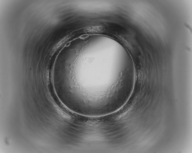 X0000095880725200801111133
