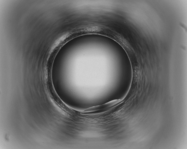 X0000095880726200801111133