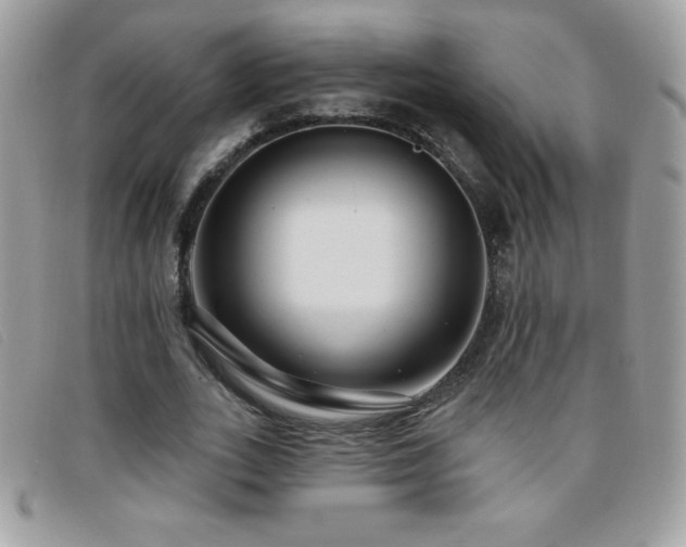 X0000095880727200801111133