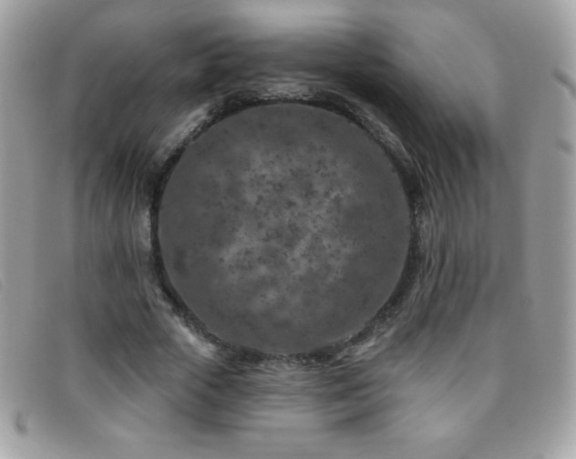 X0000095880729200801111133