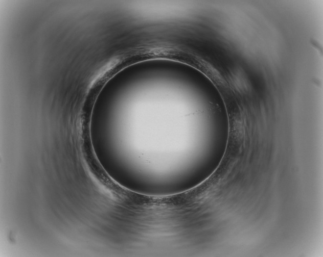 X0000095880730200801111133