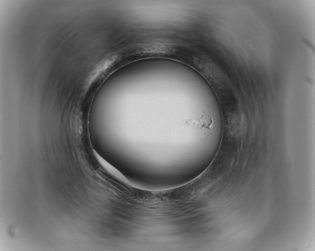 X0000095880731200801111133