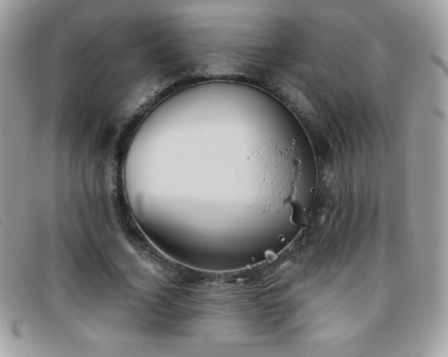 X0000095880732200801111133