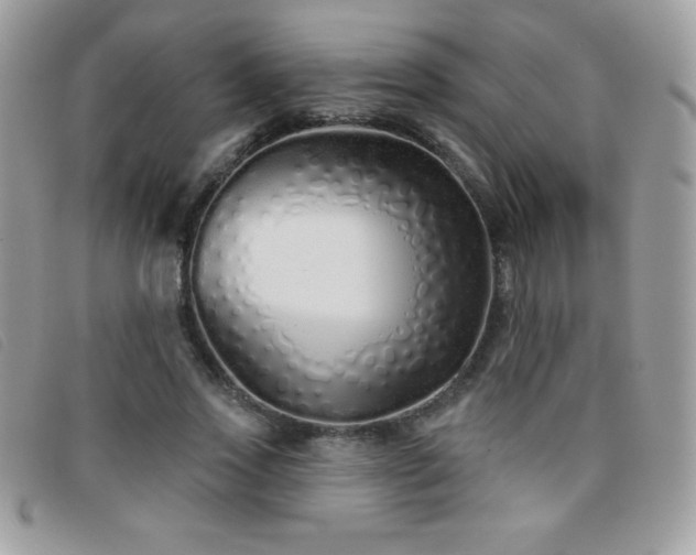 X0000095880733200801111133
