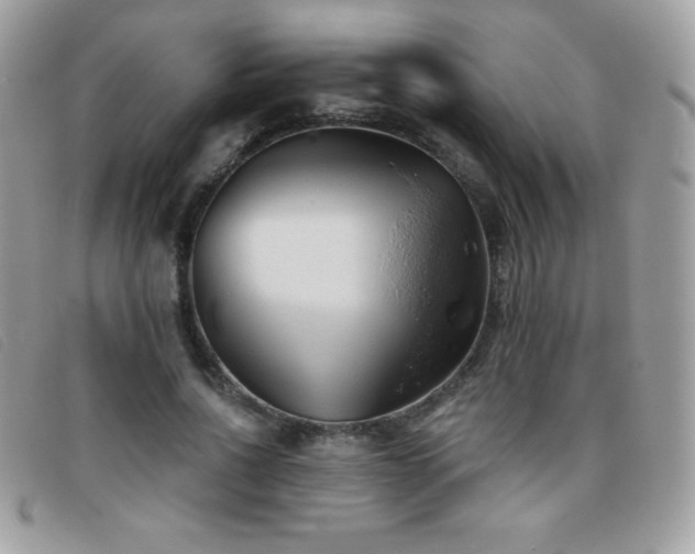 X0000095880734200801111133