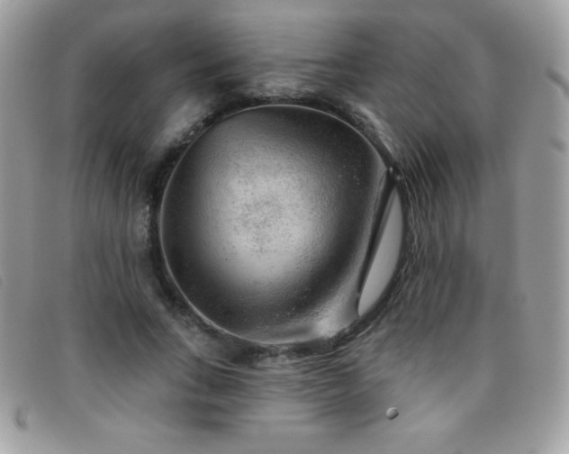 X0000095880735200801111133