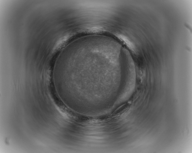X0000095880736200801111133