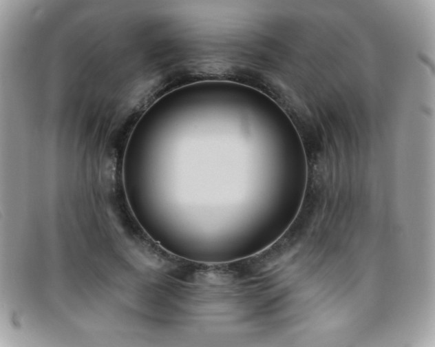 X0000095880739200801111133
