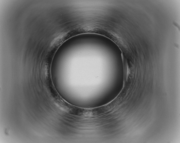 X0000095880740200801111133