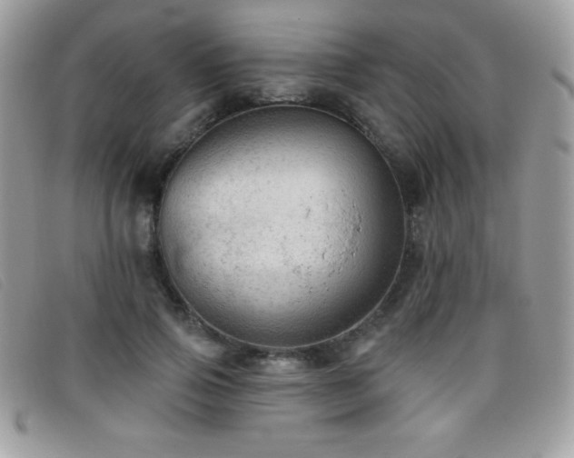 X0000095880741200801111133