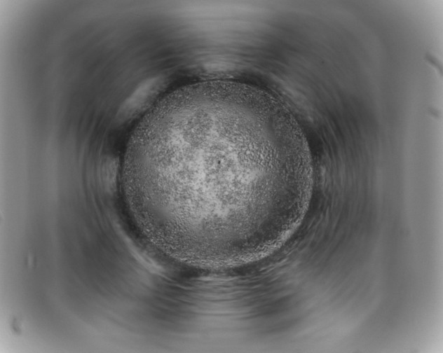 X0000095880742200801111133