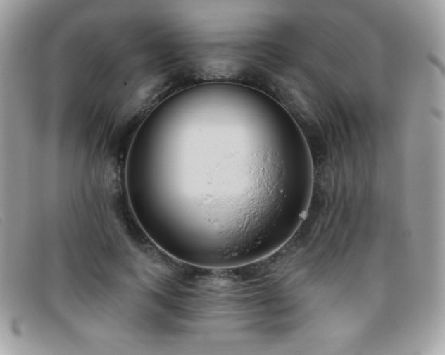 X0000095880743200801111133