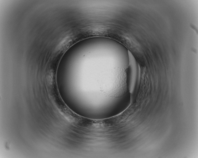 X0000095880744200801111133