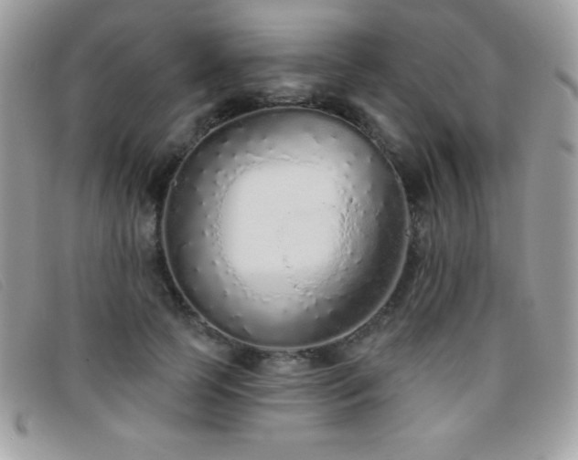 X0000095880745200801111133