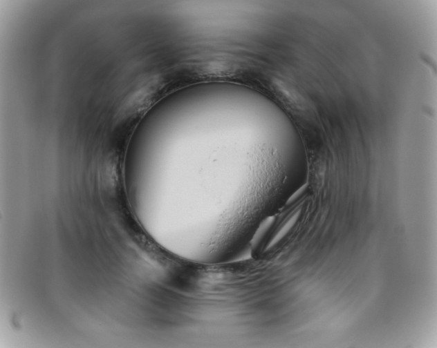 X0000095880746200801111133