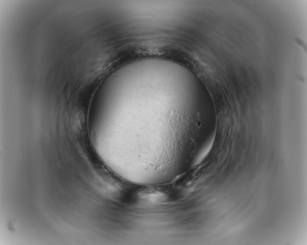 X0000095880747200801111133