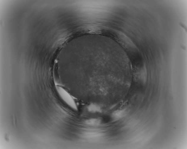 X0000095880748200801111133