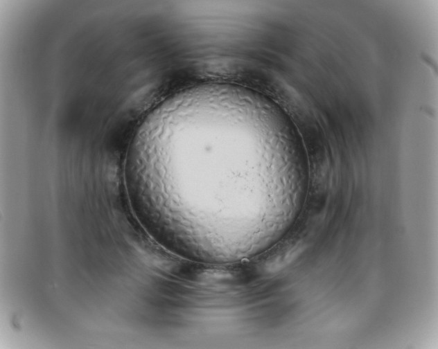 X0000095880749200801111133