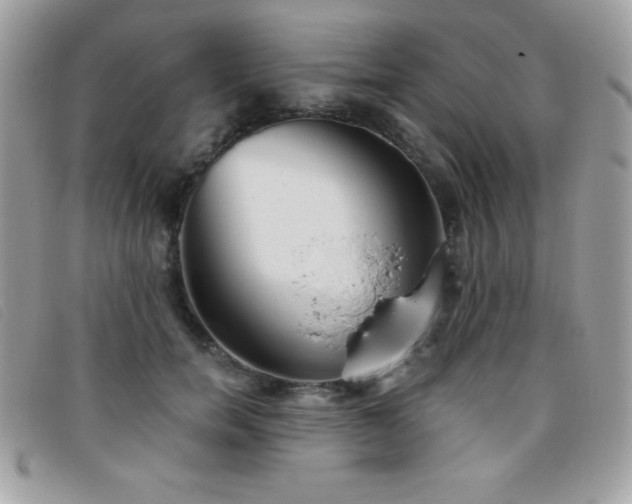 X0000095880750200801111133