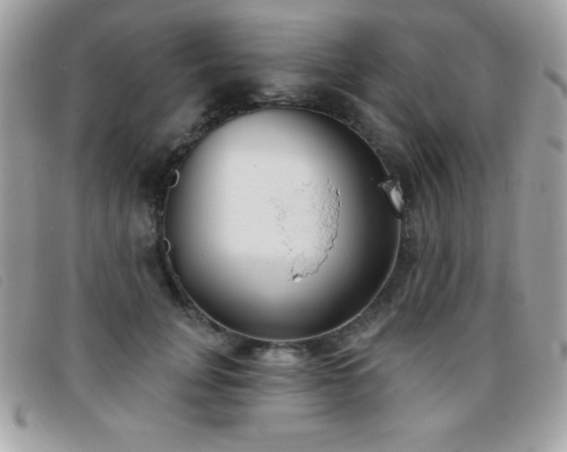 X0000095880751200801111133
