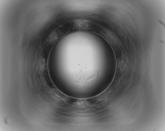 X0000095880752200801111133