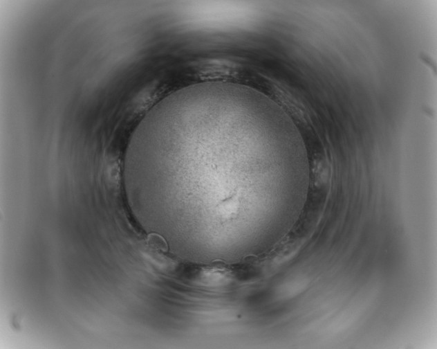 X0000095880753200801111133