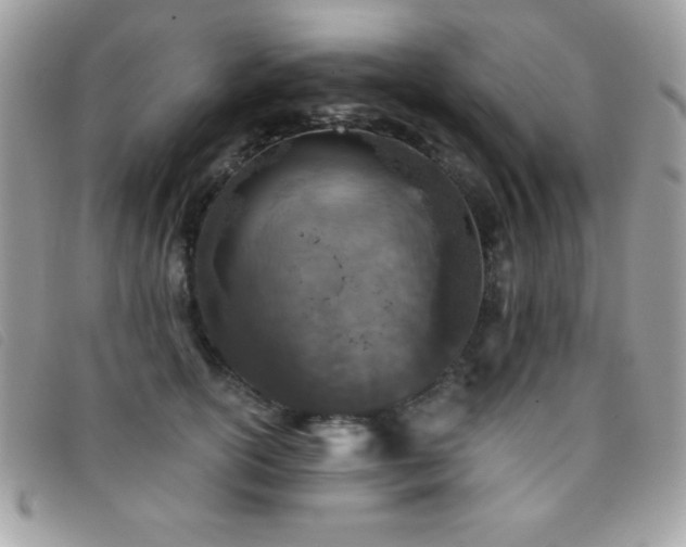 X0000095880754200801111133