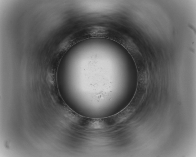 X0000095880755200801111133