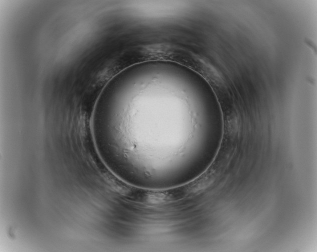 X0000095880757200801111133