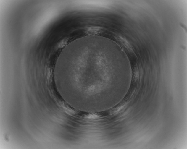 X0000095880759200801111133