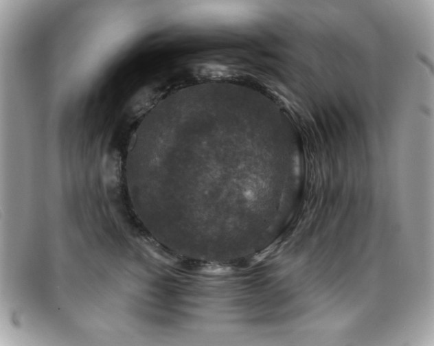 X0000095880760200801111133