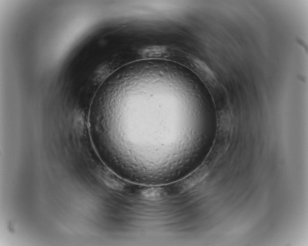X0000095880761200801111133