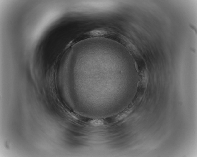 X0000095880762200801111133