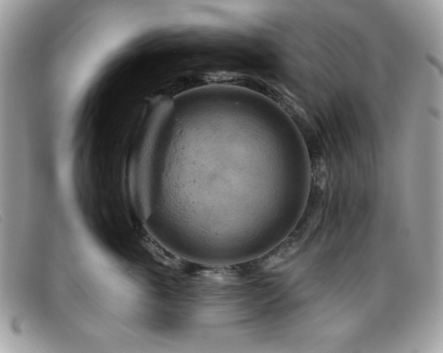 X0000095880763200801111133