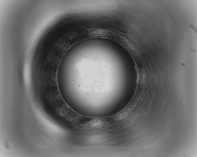 X0000095880764200801111133