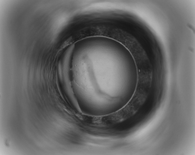 X0000095880766200801111133