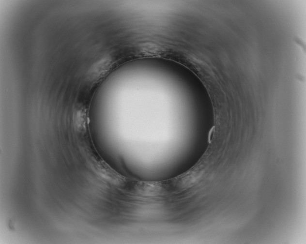 X0000095880768200801111133