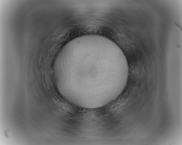 X0000095880769200801111133
