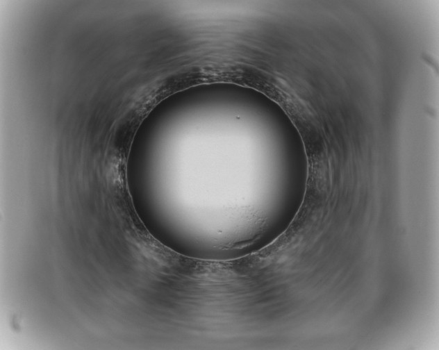 X0000095880770200801111133
