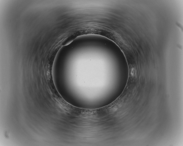 X0000095880771200801111133