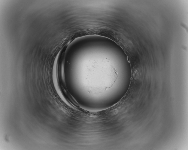 X0000095880772200801111133
