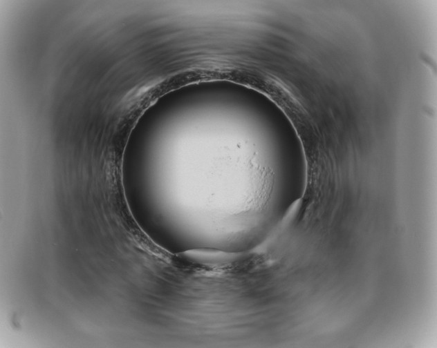 X0000095880773200801111133