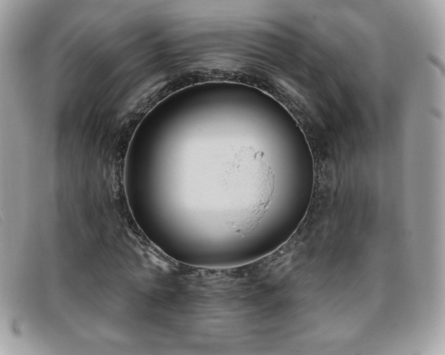 X0000095880774200801111133
