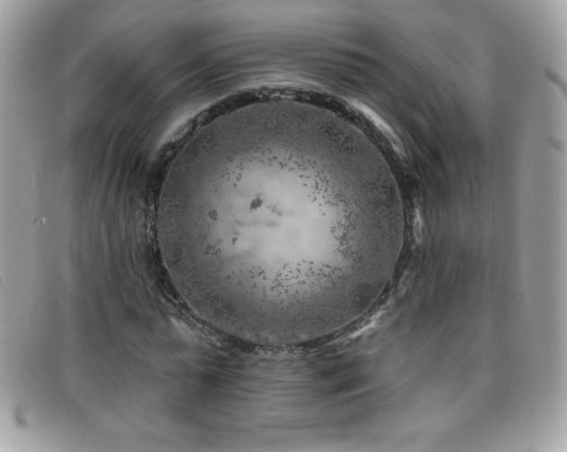 X0000095880775200801111133